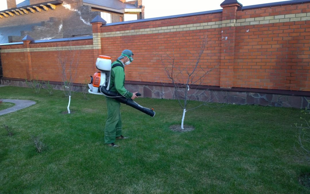 Опрыскивание пестицидами садового участка, коттеджный посёлок «Вороновка»