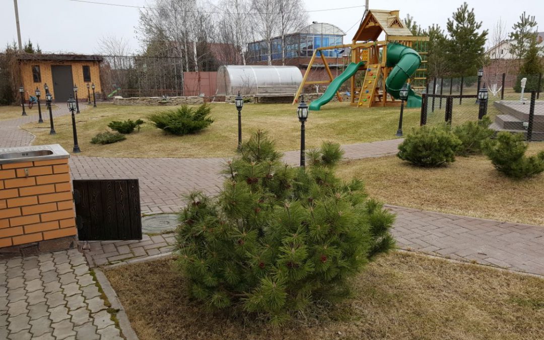 Открытие сезона — Константиновка