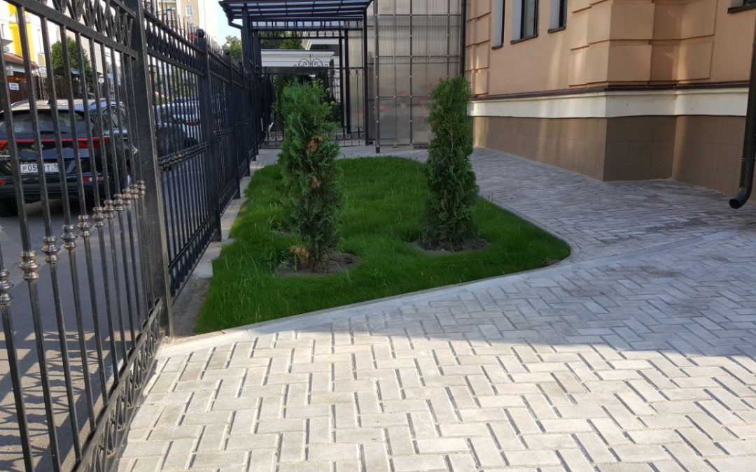 Посадка газона и растений на участке в Казани